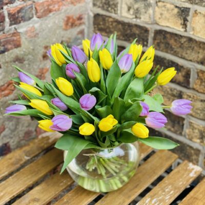 Mixed Tulips in a vase