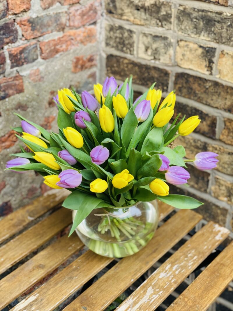 Mixed Tulips in a vase