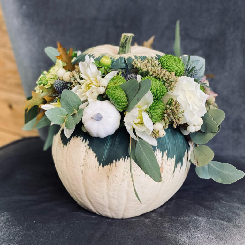White Pumpkin - Image 4