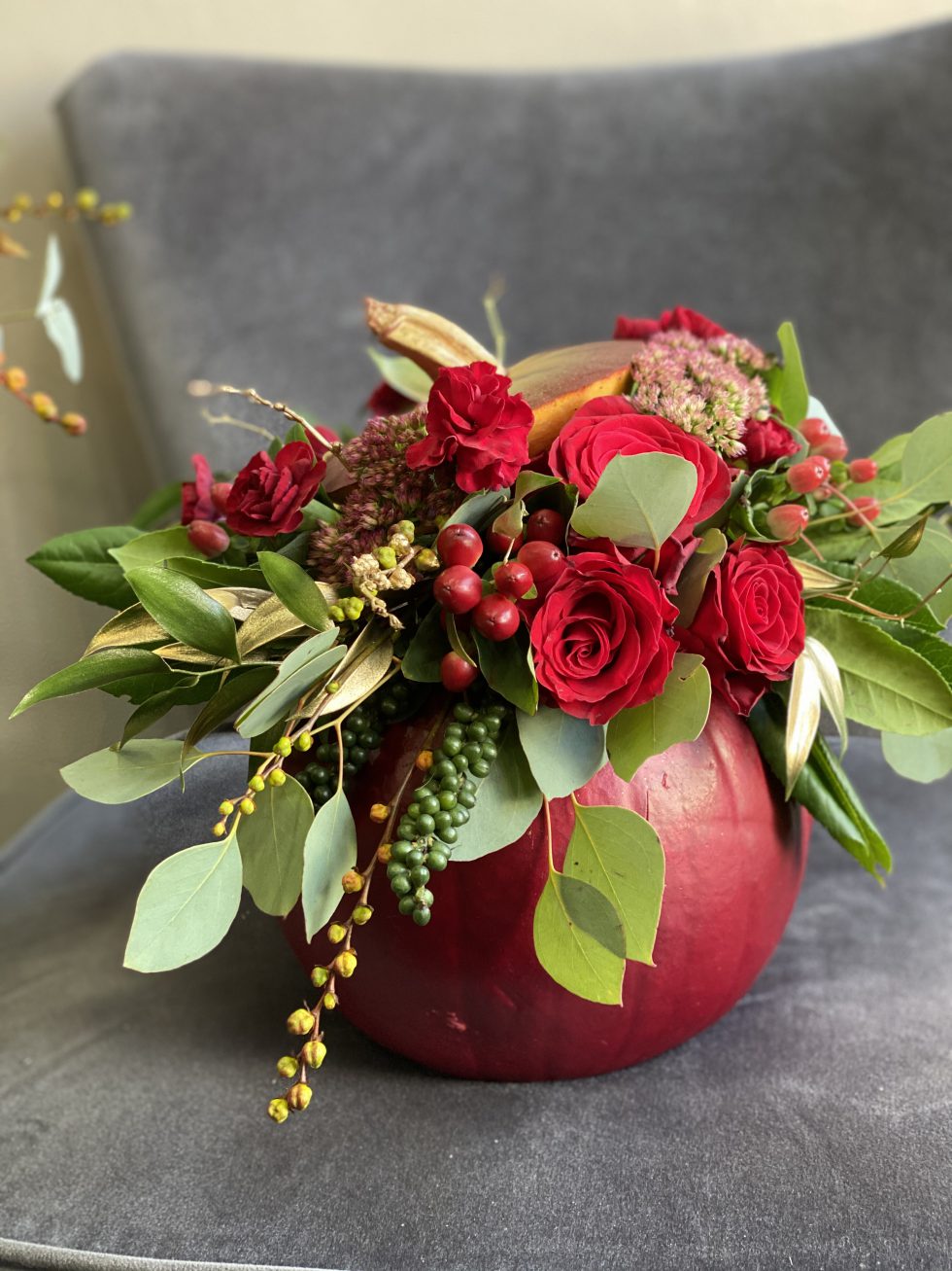 Burgundy Pumpkin