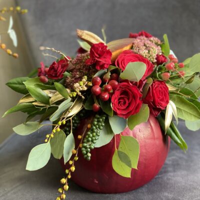 Burgundy Pumpkin